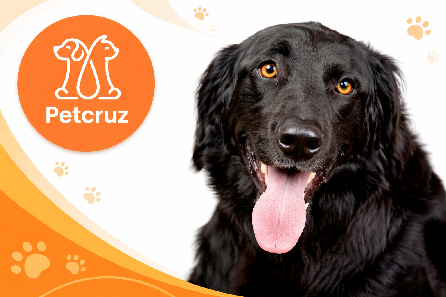 Petcruz